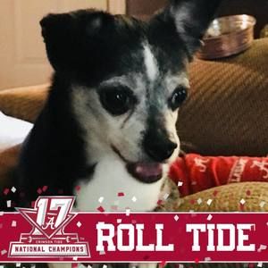 Meet your Posher, Trish